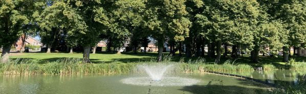 36+ Bargfeld Stegen Teich, Durch klick auf eines der symbole wird die